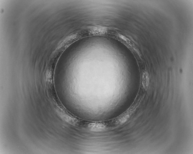 X0000087700714200705041103
