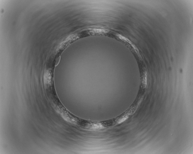 X0000087700715200705041103