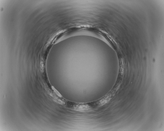 X0000087700716200705041103