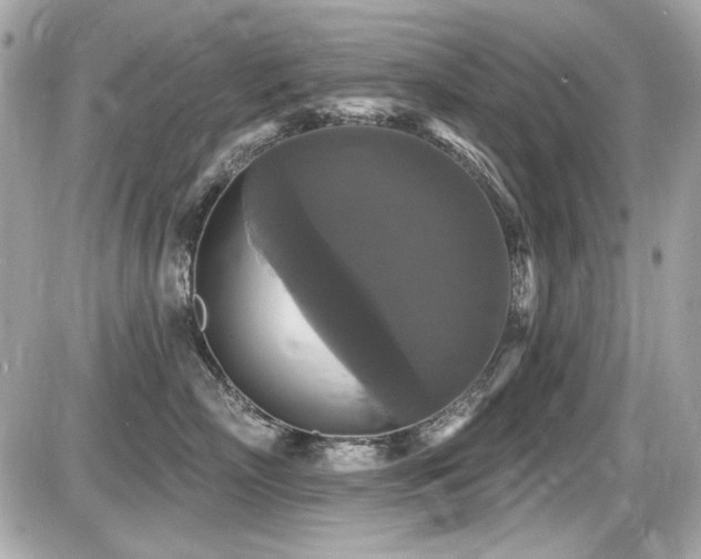 X0000087700718200705041103