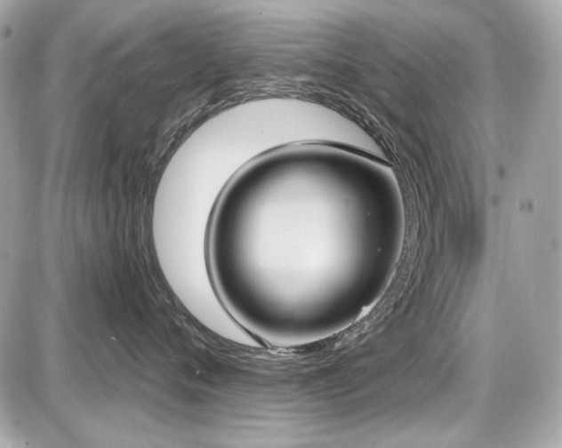 X0000087700720200705041103