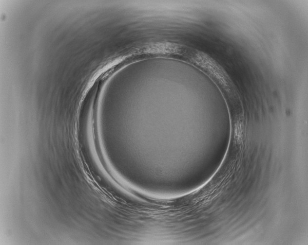 X0000087700724200705041102