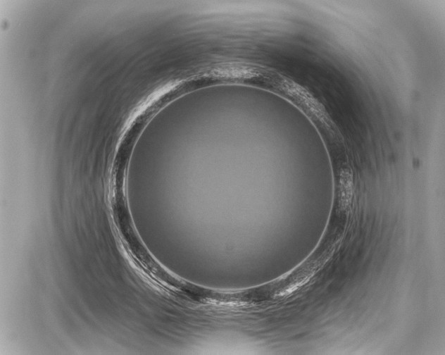X0000087700726200705041102
