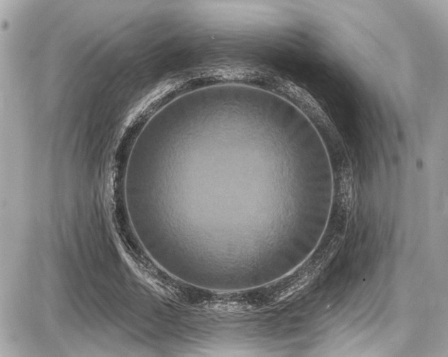 X0000087700730200705041102