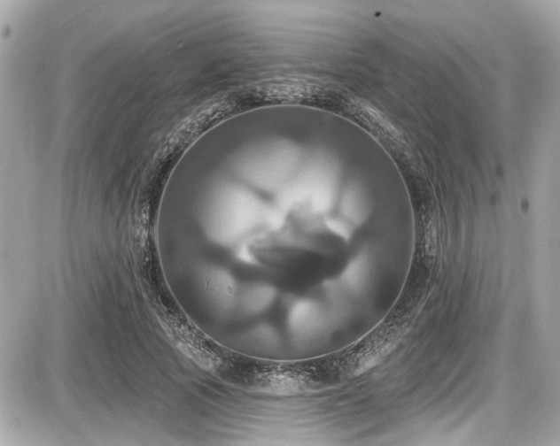 X0000087700737200705041102