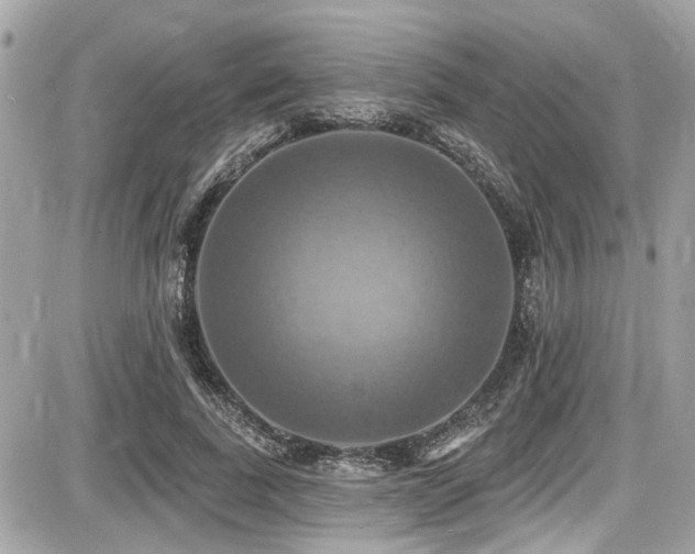 X0000087700739200705041102
