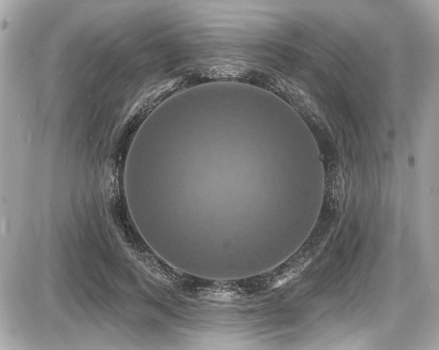 X0000087700743200705041102