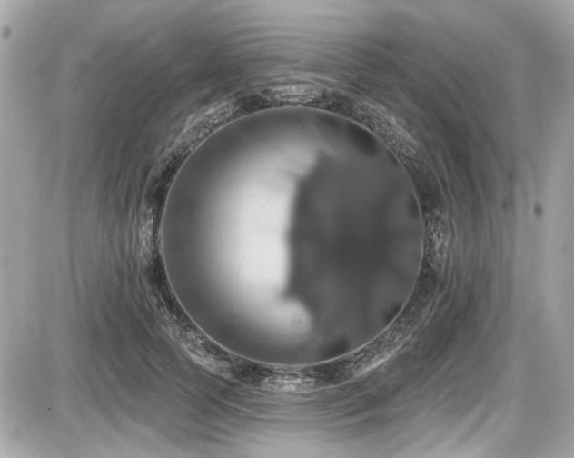 X0000087700745200705041102