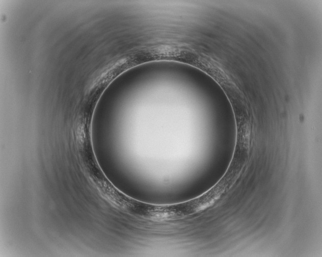 X0000087700746200705041102