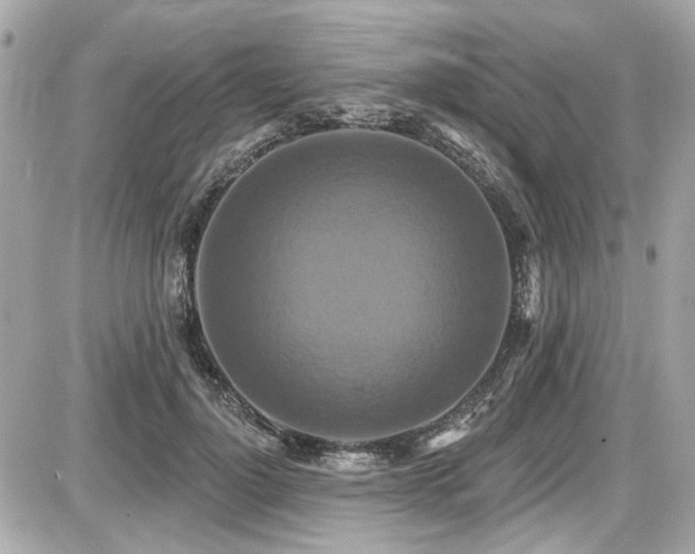 X0000087700748200705041102