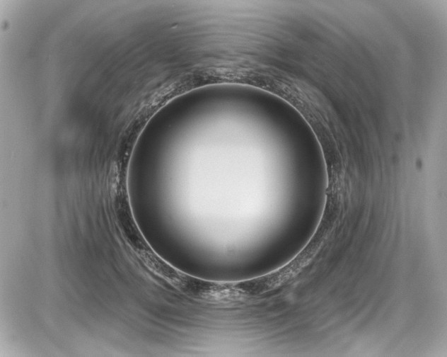 X0000087700752200705041102