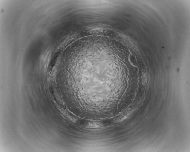 X0000087700753200705041102