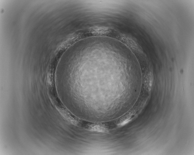 X0000087700755200705041103