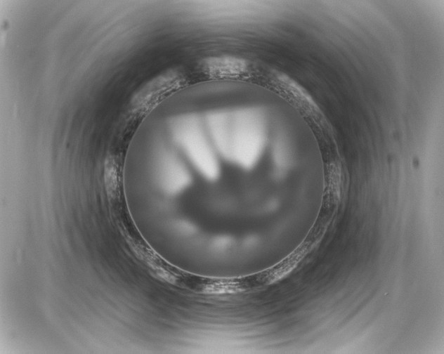 X0000087700761200705041103