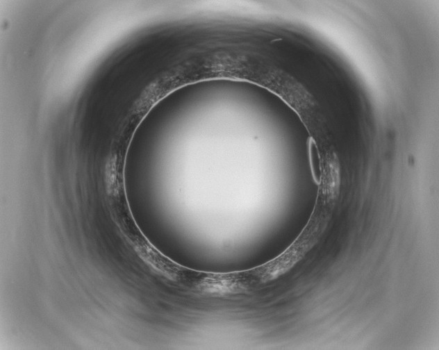 X0000087700764200705041103