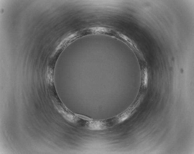 X0000087700766200705041103