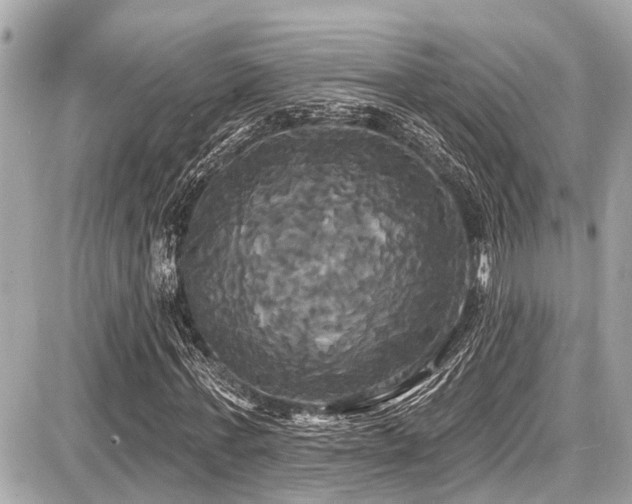 X0000087700771200705041102