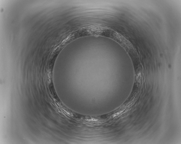X0000087700772200705041102