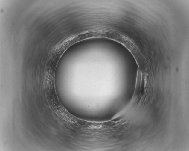 X0000087700773200705041102
