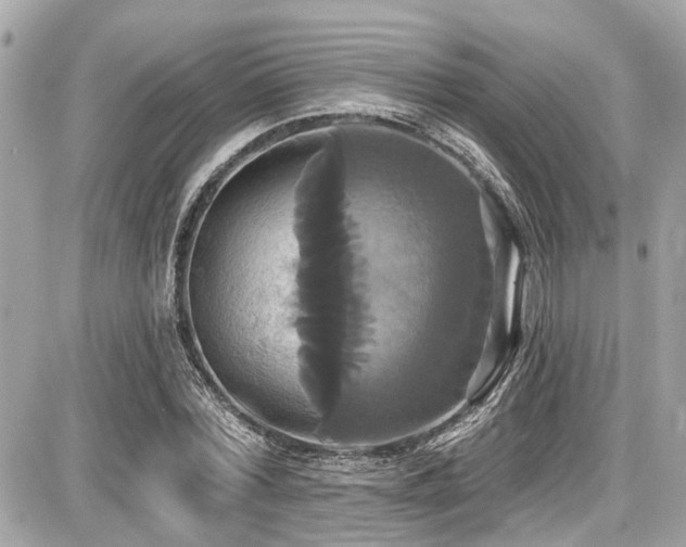X0000087700780200705041102