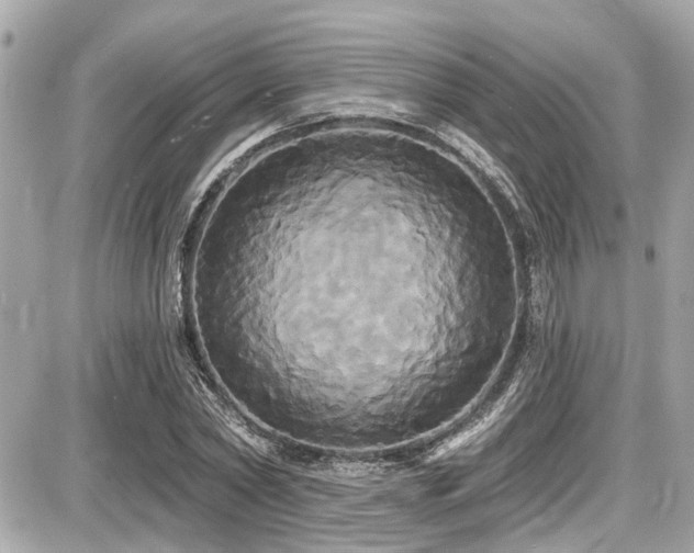 X0000087700782200705041102
