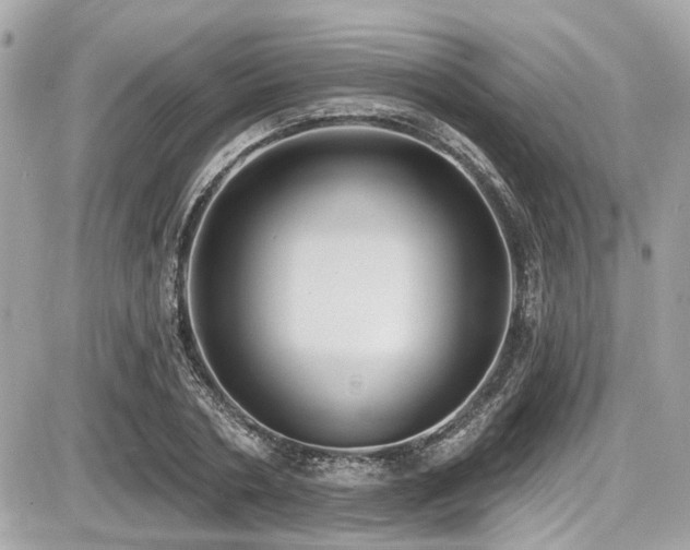 X0000087700786200705041102