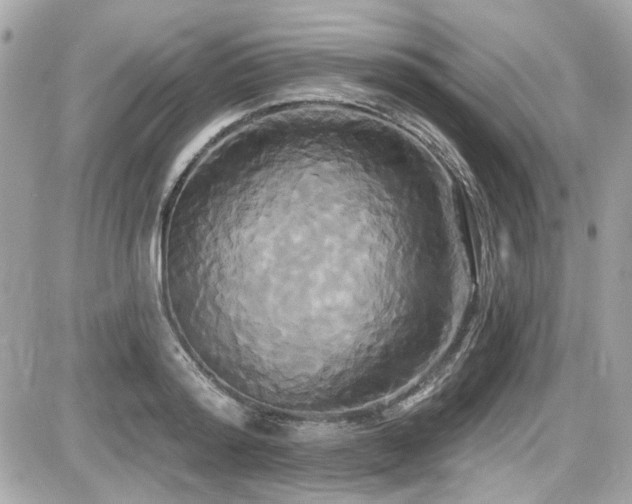 X0000087700796200705041102