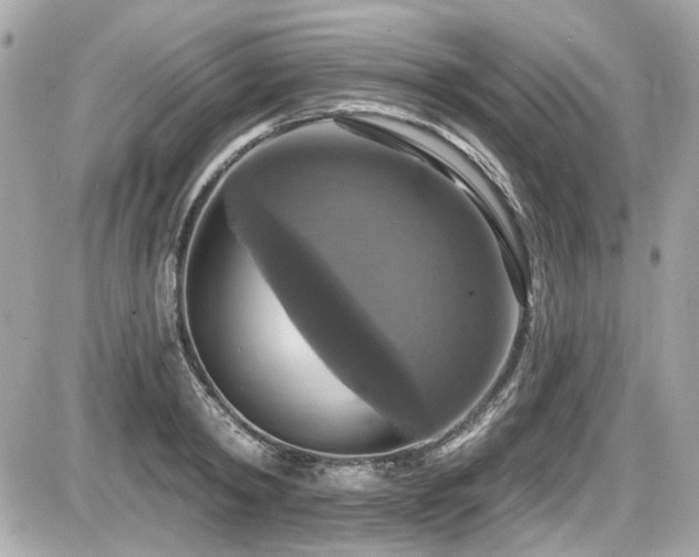 X0000087700798200705041101