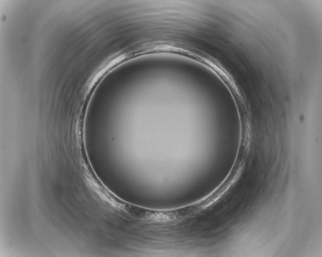 X0000087700806200705041101