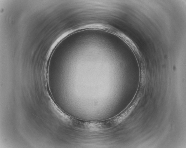 X0000087700808200705041101