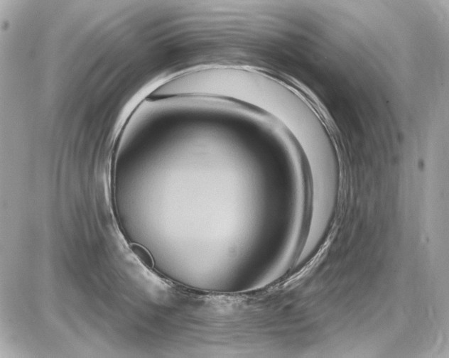 X0000087700812200705041101