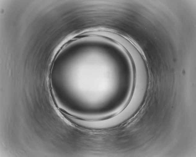 X0000087700813200705041101