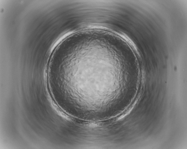 X0000087700814200705041101