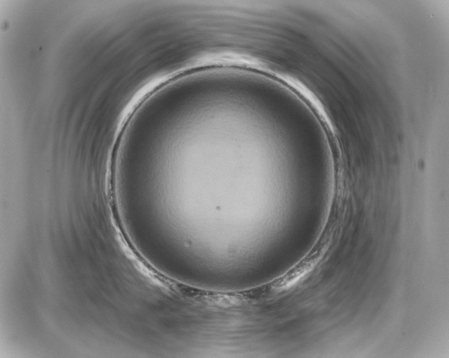 X0000087700815200705041101