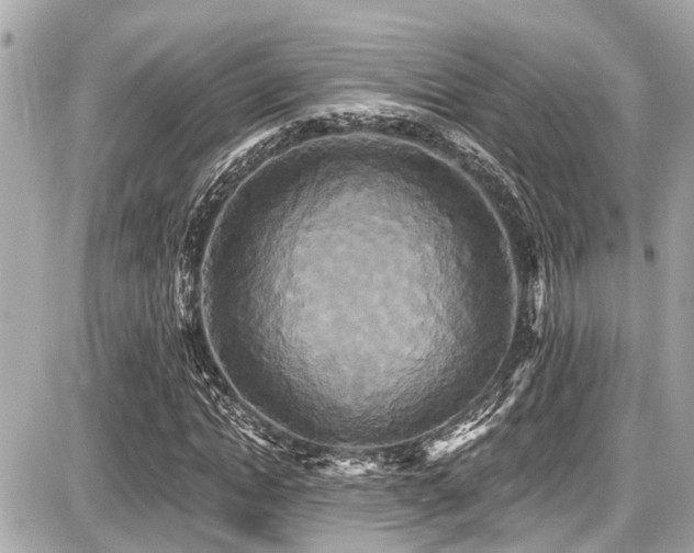 X0000087700822200705041100