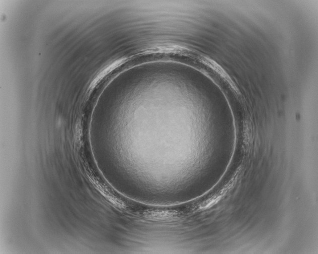 X0000087700826200705041101