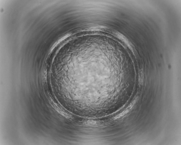 X0000087700827200705041101