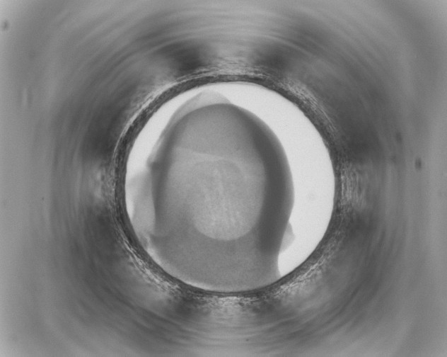 X0000087700828200705041101