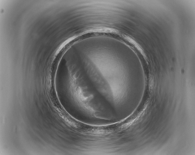 X0000087700829200705041101