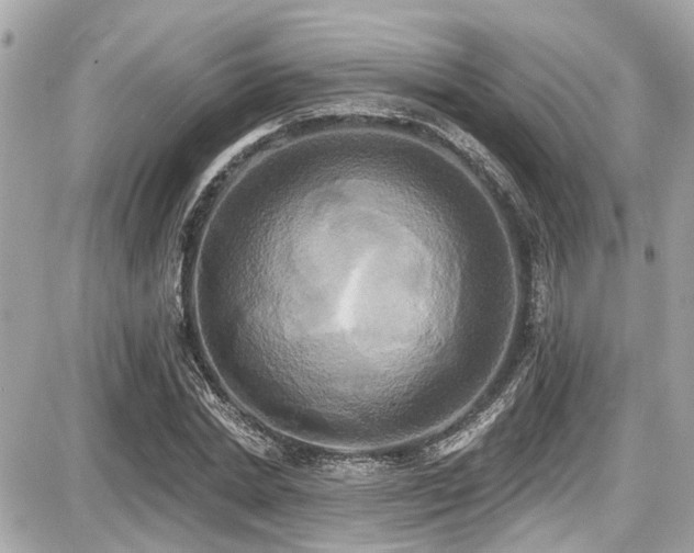 X0000087700830200705041101