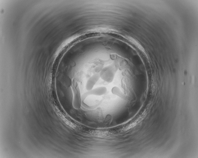 X0000087700831200705041101