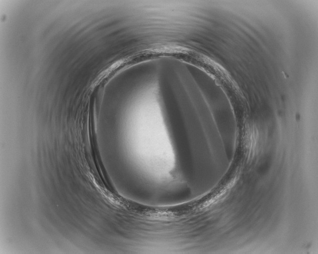 X0000087700833200705041101