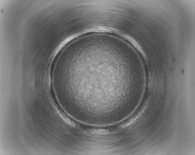 X0000087700837200705041101