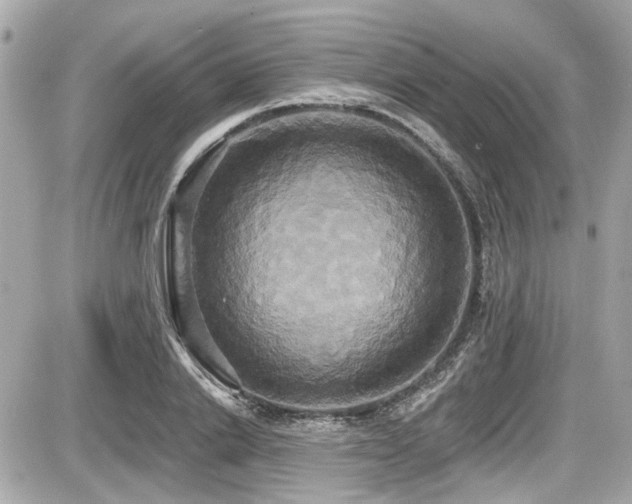 X0000087700838200705041101