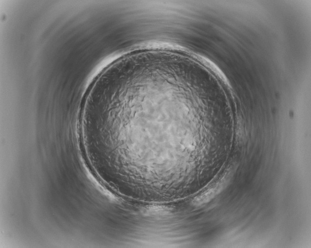 X0000087700847200705041101