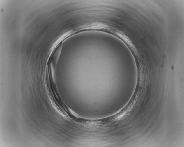 X0000087700850200705041101
