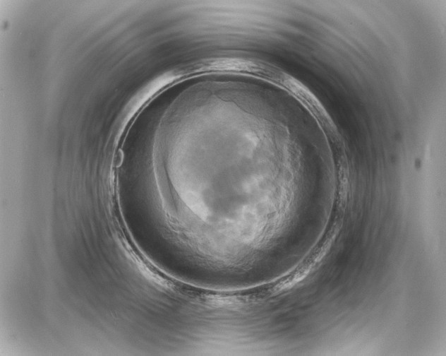 X0000087700852200705041101