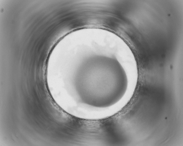 X0000087700856200705041101