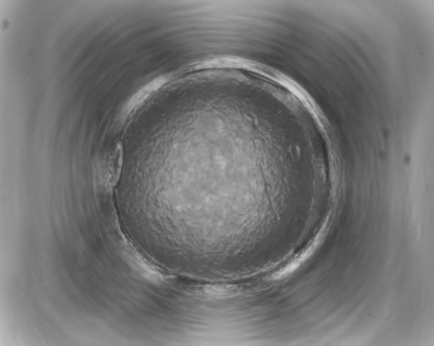 X0000087700857200705041101