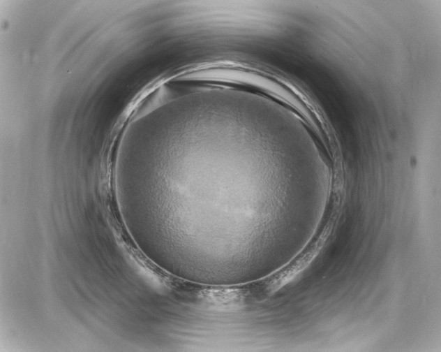 X0000087700858200705041101